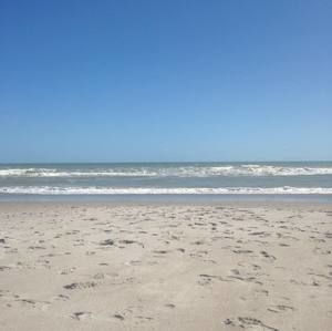 Meet your Posher, Joy